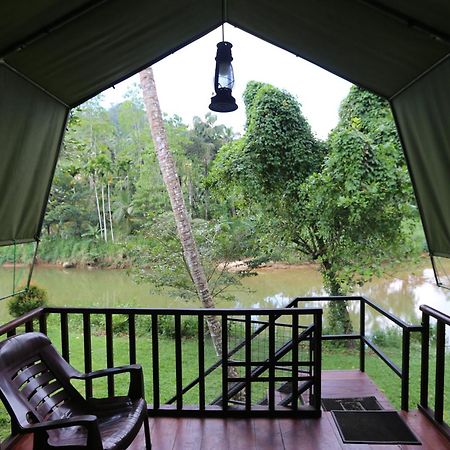 360 Rainforest 代尼耶耶 外观 照片