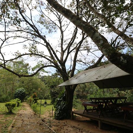 360 Rainforest 代尼耶耶 外观 照片
