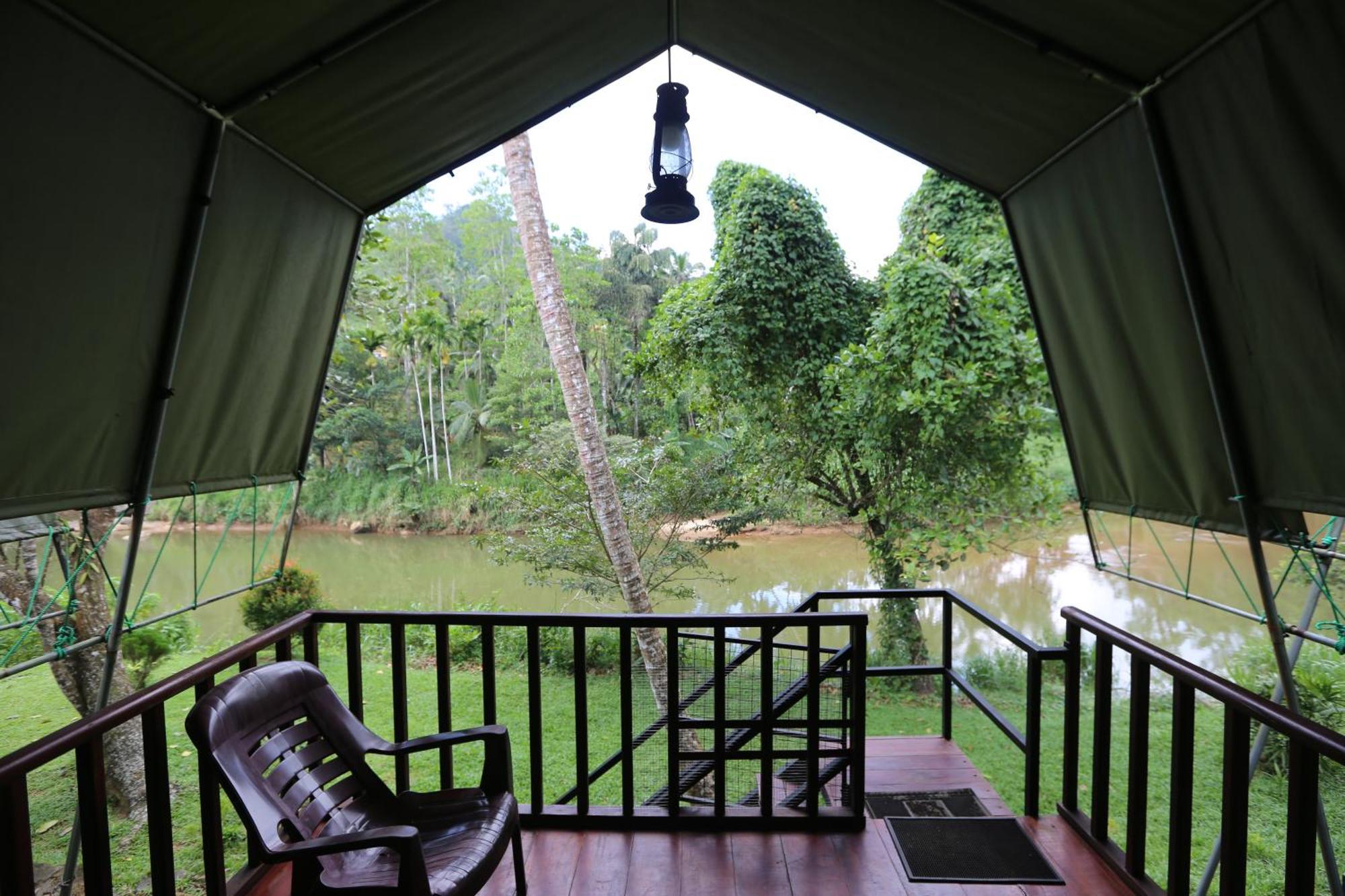 360 Rainforest 代尼耶耶 外观 照片