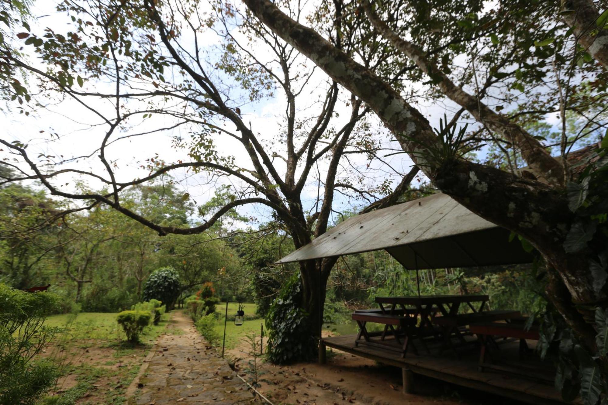 360 Rainforest 代尼耶耶 外观 照片