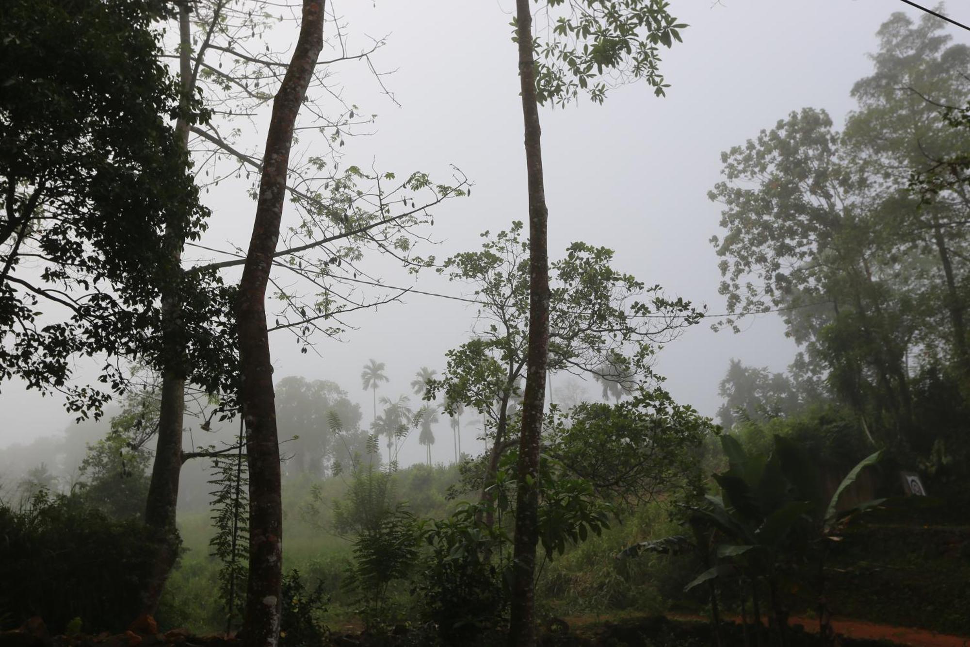 360 Rainforest 代尼耶耶 外观 照片