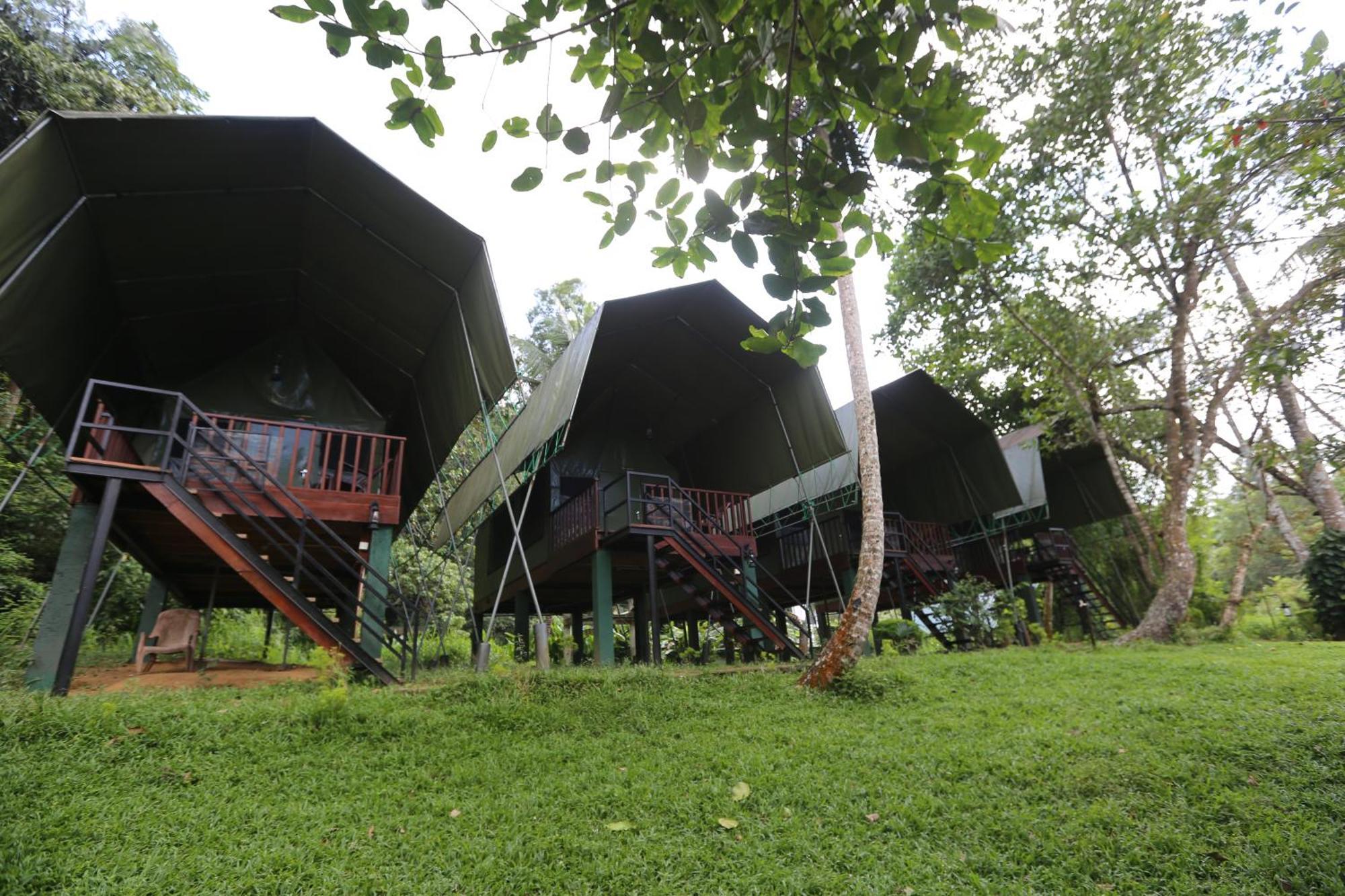 360 Rainforest 代尼耶耶 外观 照片