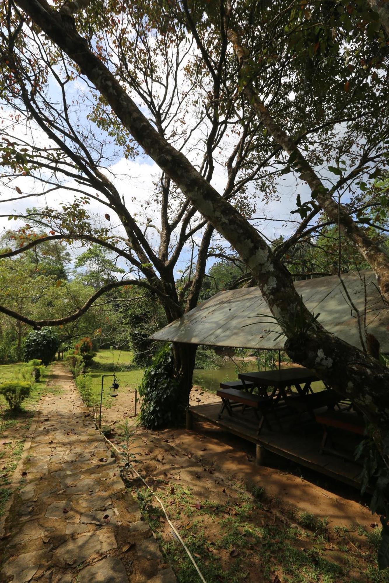 360 Rainforest 代尼耶耶 外观 照片