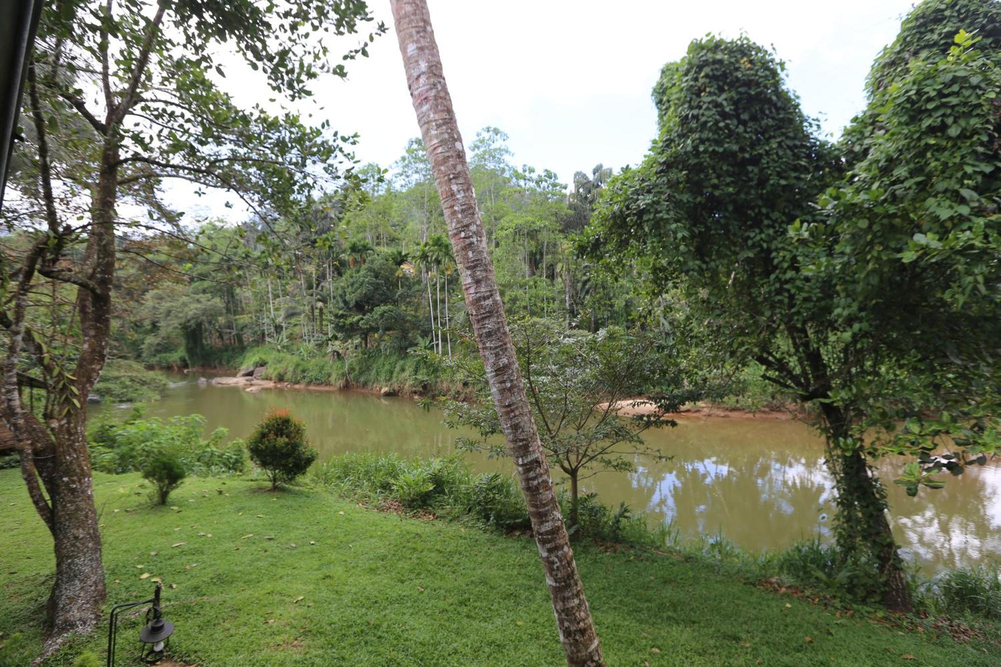 360 Rainforest 代尼耶耶 外观 照片