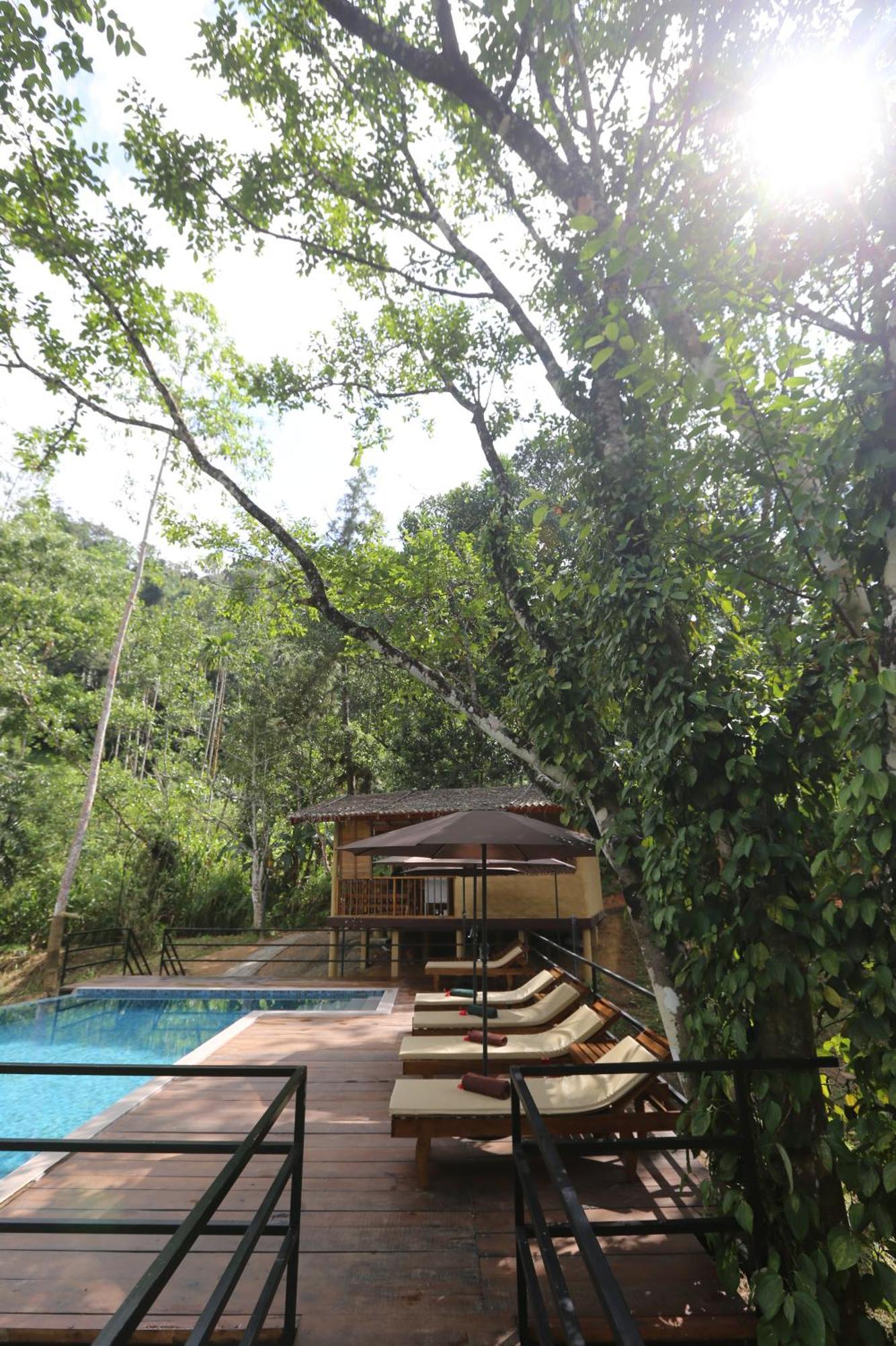 360 Rainforest 代尼耶耶 外观 照片