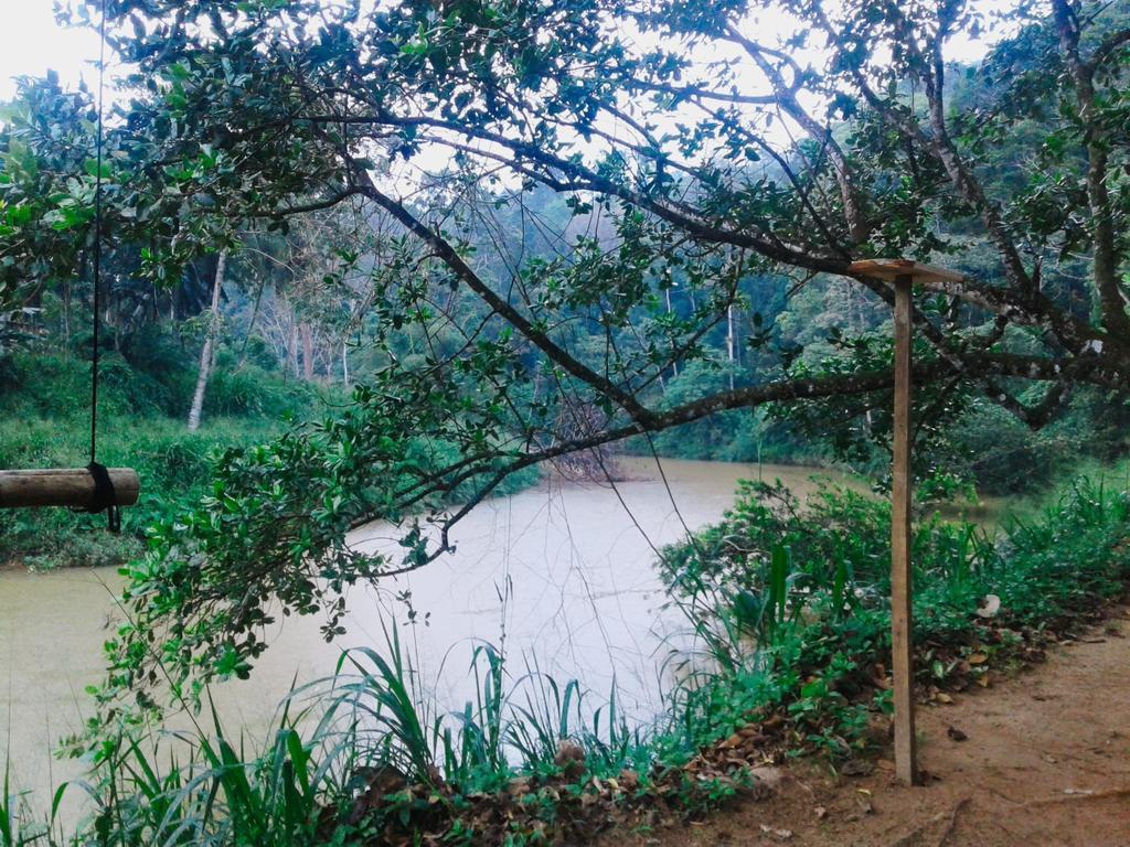 360 Rainforest 代尼耶耶 外观 照片