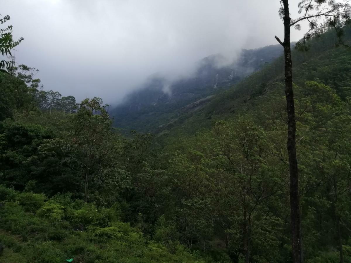 360 Rainforest 代尼耶耶 外观 照片