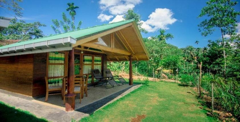 360 Rainforest 代尼耶耶 外观 照片