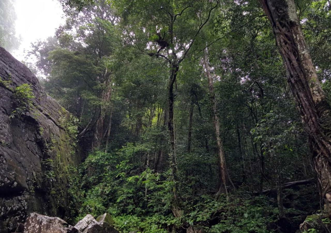 360 Rainforest 代尼耶耶 外观 照片