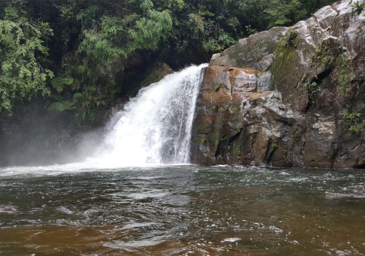 360 Rainforest 代尼耶耶 外观 照片