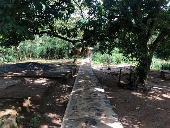 360 Rainforest 代尼耶耶 外观 照片