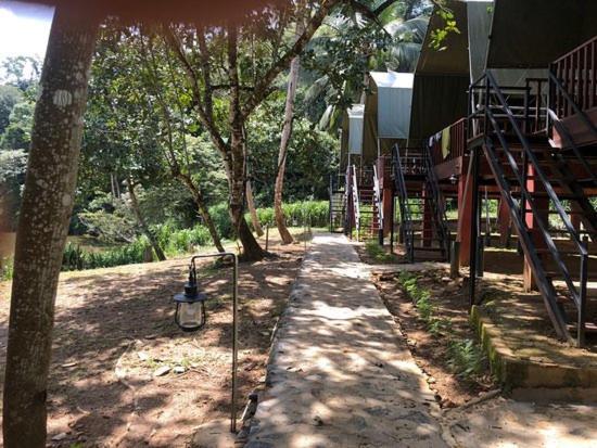 360 Rainforest 代尼耶耶 外观 照片