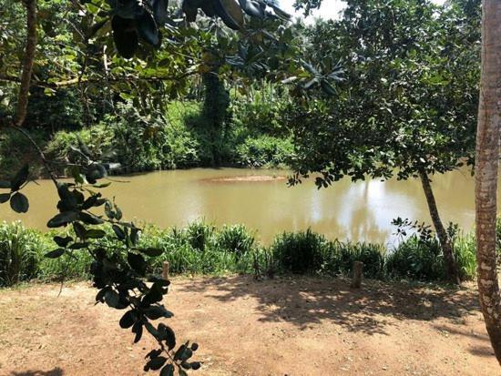 360 Rainforest 代尼耶耶 外观 照片