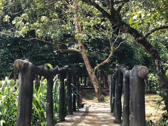 360 Rainforest 代尼耶耶 外观 照片