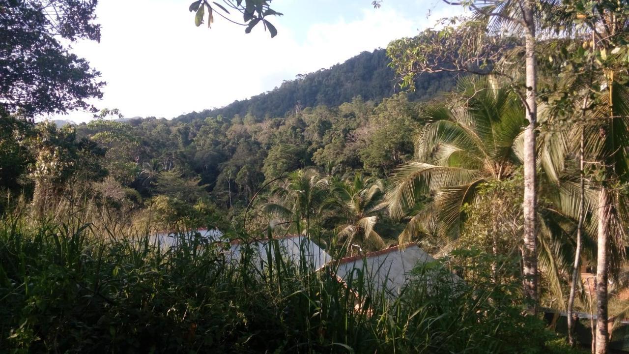 360 Rainforest 代尼耶耶 外观 照片