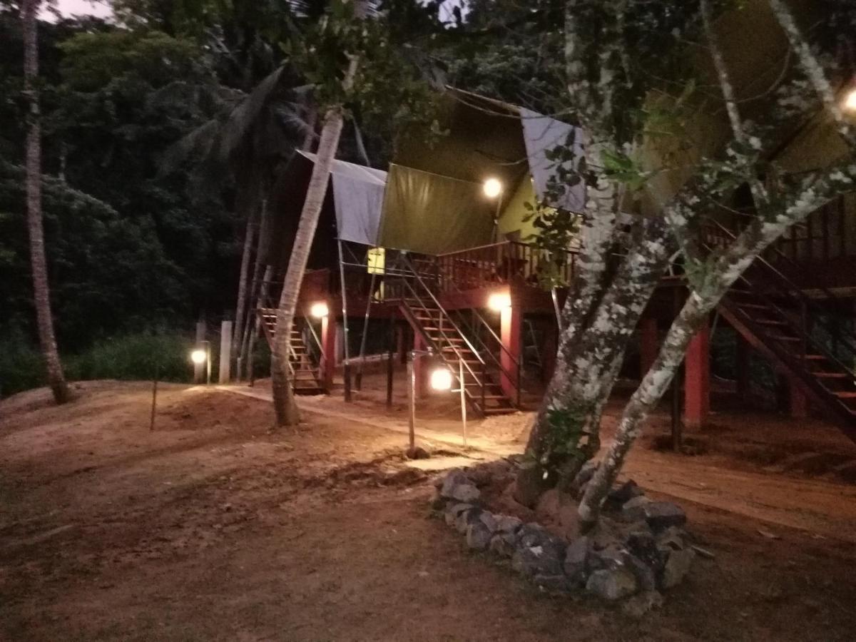 360 Rainforest 代尼耶耶 外观 照片